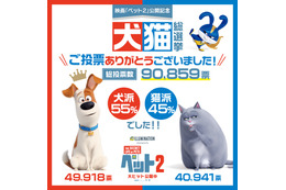 「ペット2」あなたは犬派？猫派？“犬猫総選挙”の結果が発表！僅差で勝利したのは…？