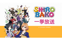 「SHIROBAKO」全24話がニコ生で無料配信！ 劇場版に向けて復習にオススメ 画像