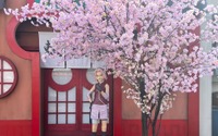 「NARUTO」富士急ハイランド“富士 木ノ葉隠れの里”に春到来！春野サクラ誕生日イベントが開催 画像
