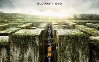 「メイズ・ランナー」Blu-rayとDVD10月2日発売　スポットナレーションに梶裕貴 画像