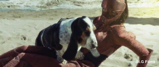 映画「ガルム・ウォーズ」Twitterでドッグショーを開催　愛犬との写真をツイート