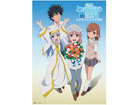 劇場版「とある魔術の禁書目録」　5月25日～2週間限定公開に限定ポスタープレゼント