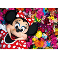 「TOKYO DISNEY RESORT Photography Project Imagining the Magic Photographer Mika Ninagawa HAPPIEST MAGIC」3,800円（税別）（C）Disney