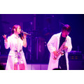 「NANA MUSIC LABORATORY 2019 ～ナナラボ～」ライブ写真：ウチダアキヤ