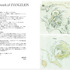 「新世紀エヴァンゲリオン 原画集 Groundwork of EVANGELION Vol.1」2,000円（税抜）(C)カラー／Project Eva.