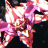 『ガンダム00スペシャルエディションll エンド・オブ・ワールド』場面写真（C）創通・サンライズ