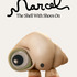 『マルセル 靴をはいた小さな貝』イメージビジュアル（C）2021 Marcel the Movie LLC. All Rights Reserved.