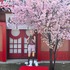 「サクラ祭り」春野サクラ 桜フォトスポット（C）岸本斉史 スコット／集英社・テレビ東京・ぴえろ