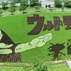 「田んぼアートニッポンプロジェクト」ウルトラマンが田んぼアートになって登場・画像