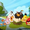 アングリーバードのアニメシリーズ「Angry Birds Toons」　DVD発売決定・画像