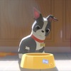 「ベイマックス」と「愛犬とごちそう」ディズニー同時上映作品が米国アカデミー賞ダブル受賞・画像