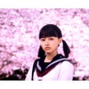 映画「桜ノ雨」3月5日公開決定 人気ボカロ曲を実写化、特報には合唱シーンも・画像