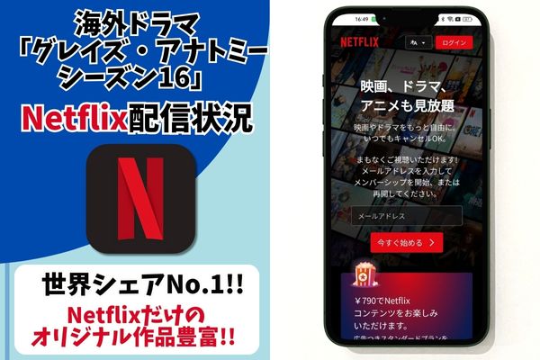 グレイズ・アナトミー シーズン16 netflix