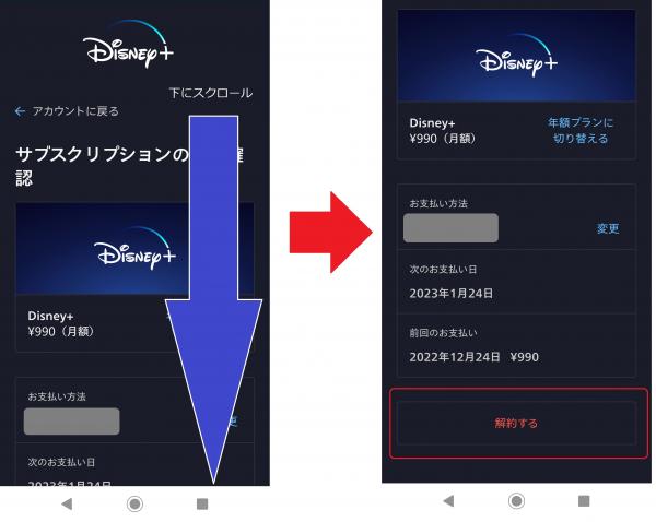 disneyplus 解約5