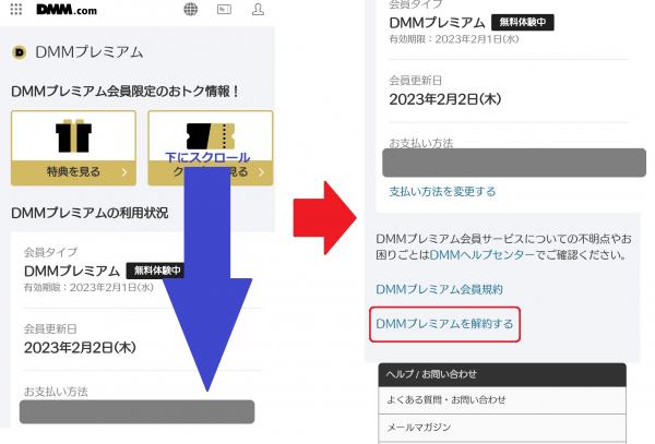 dmmtv 解約3