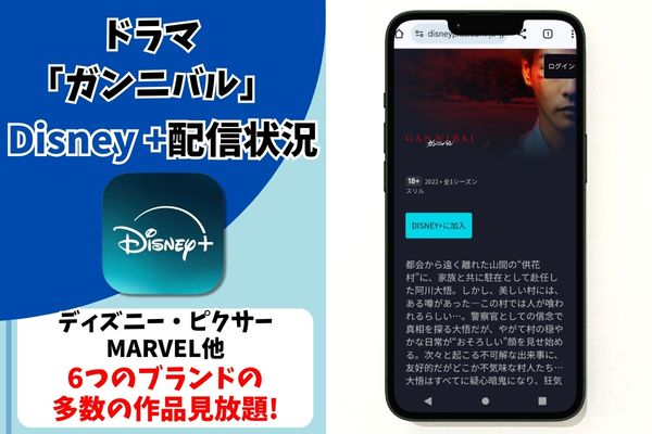 ガンニバル disney 配信