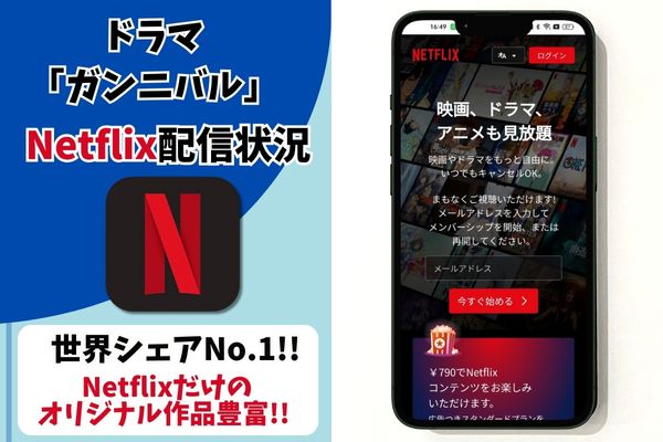 ガンニバル netflix 配信