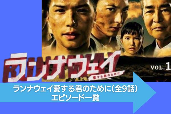 ランナウェイ?愛する君のために DVD-BOX