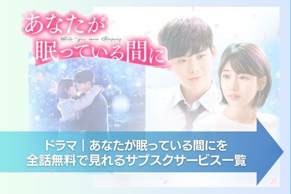 韓国ドラマ｜あなたが眠っている間にの動画を日本語字幕で無料で視聴 