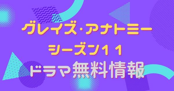 グレイズ・アナトミー シーズン11