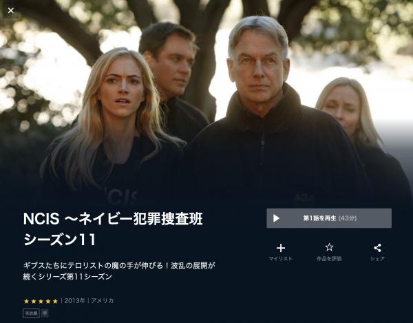 NCIS ネイビー犯罪捜査班 シーズン11 u-next