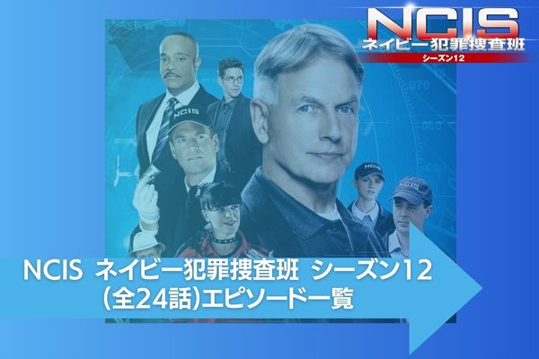 NCIS ネイビー犯罪捜査班 シーズン12 配信