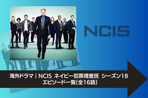 NCIS ネイビー犯罪捜査班 シーズン18 配信