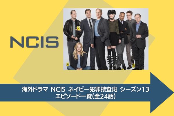 NCIS ネイビー犯罪捜査班 シーズン13 配信