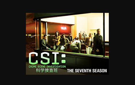 CSI 科学捜査班　シーズン6