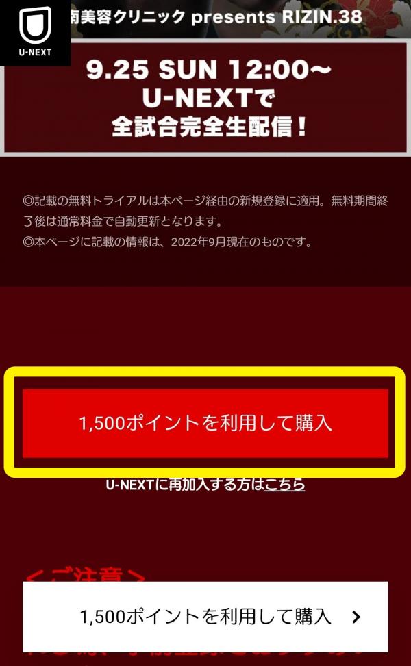朝倉未来vsメイウェザー u-next チケット購入2