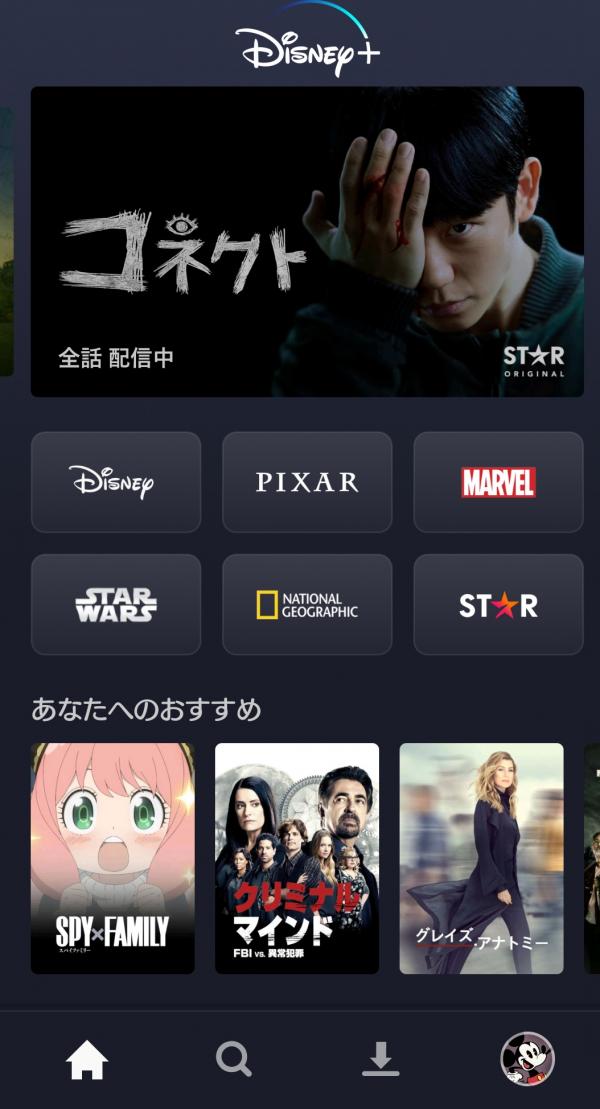 disneyplus 登録方法15