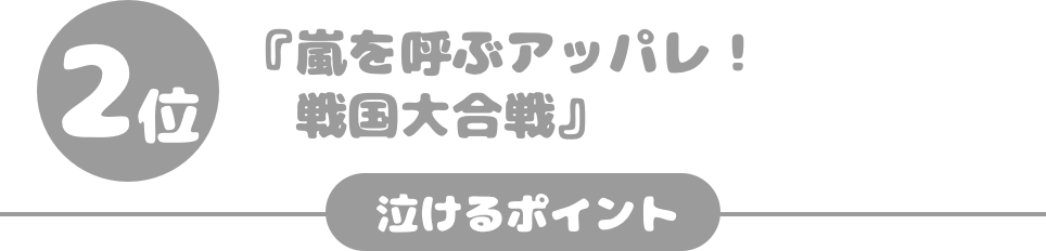 『嵐を呼ぶアッパレ！戦国大合戦』