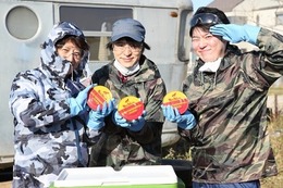 荒木飛呂彦　世界一強烈な食材：シュールストレミングを食べてみた　ジャンプ LIVE 2号にて 画像