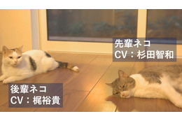 杉田智和と梶裕貴が先輩・後輩猫の“アテネコ動画”で共演！ ウェブCM3編が公開 画像