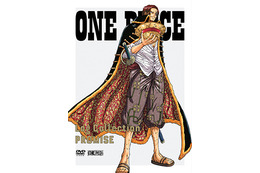 One Piece 第5回キャラクター人気投票 6年ぶりに開催 単行本第75巻と連動 アニメ アニメ