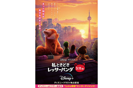 ディズニー＆ピクサー「私ときどきレッサーパンダ」日本版新ビジュアル公開！ “アカデミー賞”短編アニメ賞受賞のドミー・シーが監督 画像