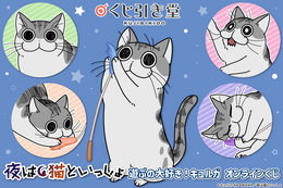 「夜は猫といっしょ」ねこじゃらしで遊ぶキュルガを描き下ろし♪ ぬいぐるみ、トート、缶バッジなどが当たるオンラインくじ登場