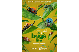 ディズニー&ピクサー「バグズ・ライフ」小さな虫たちの大冒険がリアルに！ 「Disney+」独占配信ドキュメンタリーの予告編が初公開 画像