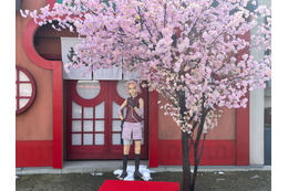 「NARUTO」富士急ハイランド“富士 木ノ葉隠れの里”に春到来！春野サクラ誕生日イベントが開催