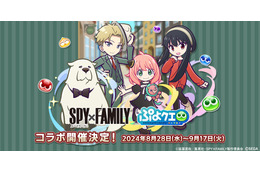 「SPY×FAMILY」アーニャ、ロイド、ヨルら録りおろしボイスも！パズルRPG「ぷよクエ」内でコラボ開催 画像