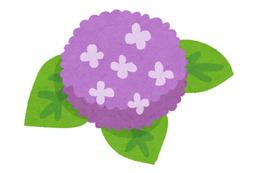 “紫”がイメージカラーのキャラといえば？ アンケート〆切は5月30日 画像