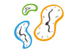 “タイムリープ系”アニメといえば？ アンケート〆切は10月4日 画像