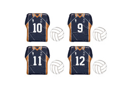 「ハイキュー!!」鳥野高校ウェア＆バレーボールのアルミ巻きチョコが登場！ヒナガラス型ケースも 画像