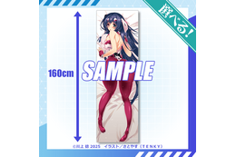 「境界線上のホライゾン」原作イラストレーター・さとやすのセクシーなイラストがグッズに！浅間＆ミトツダイラの特大布ポスターは必見