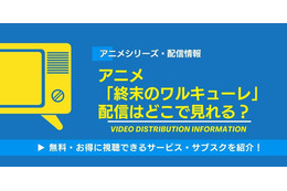 アニメ「終末のワルキューレ」の配信はどこで見れる？無料視聴できるサービス・サブスクを紹介！