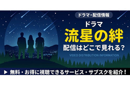ドラマ「流星の絆」の配信はどこで見れる？無料視聴できるサブスクまとめ