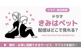 ドラマ「きみはペット」の配信はどこで見れる？松本潤版の視聴方法を紹介