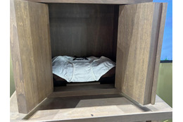 「無職転生」ロキシー教祭壇に内山夕実＆小原好美が詣でる!? 「御神体がw」「シュールすぎる」