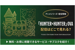 「ハンターハンター」OVAはどこで見れる？配信状況と視聴方法まとめ