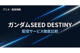 「ガンダムSEED DESTINY」の配信はどこで見れる？おすすめサブスクまとめ